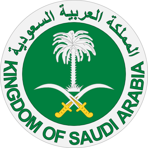 KSA Visa沙特电子签证中文申请系统